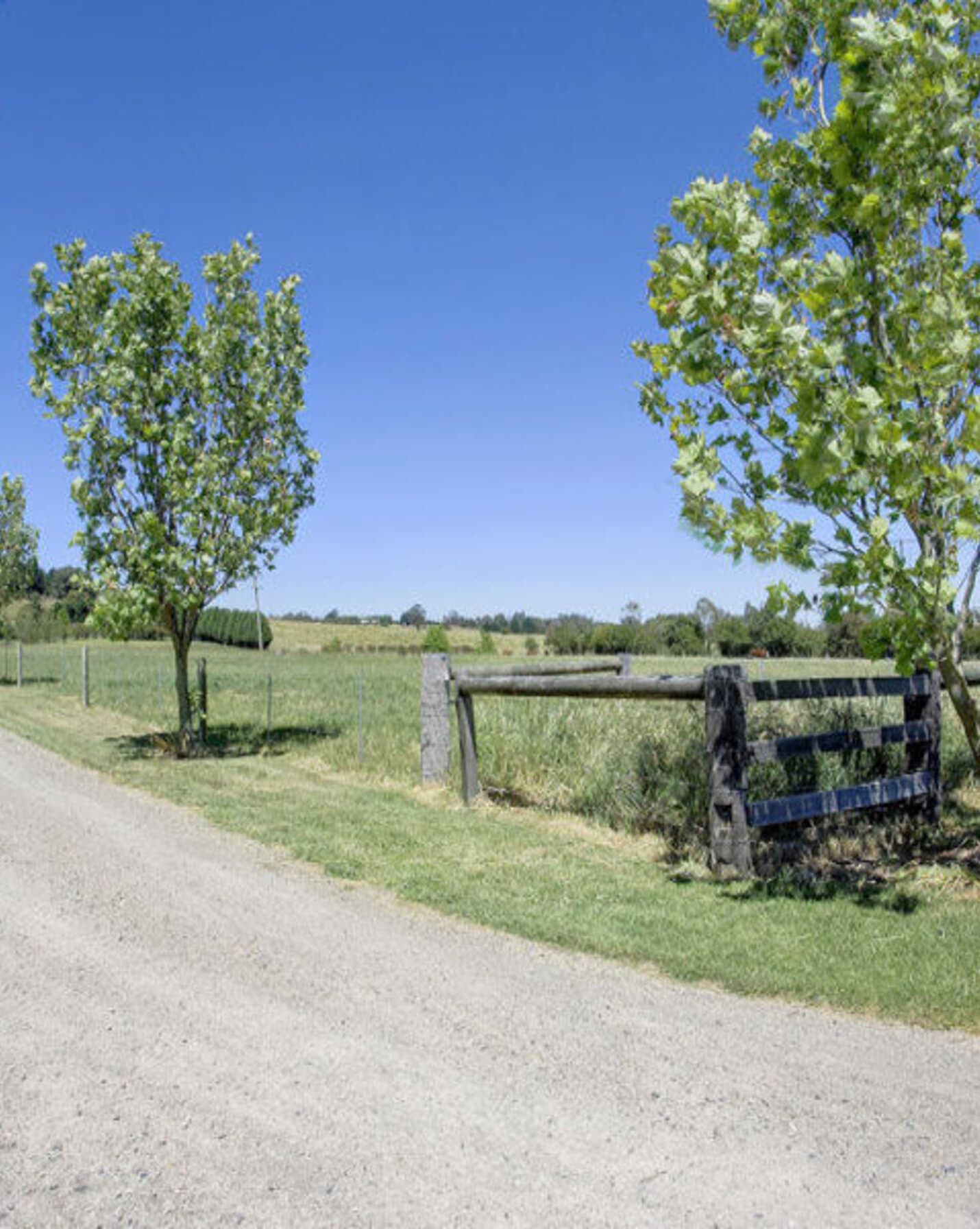120 Nowra Road Moss Vale, Vale - Thumbnail 4