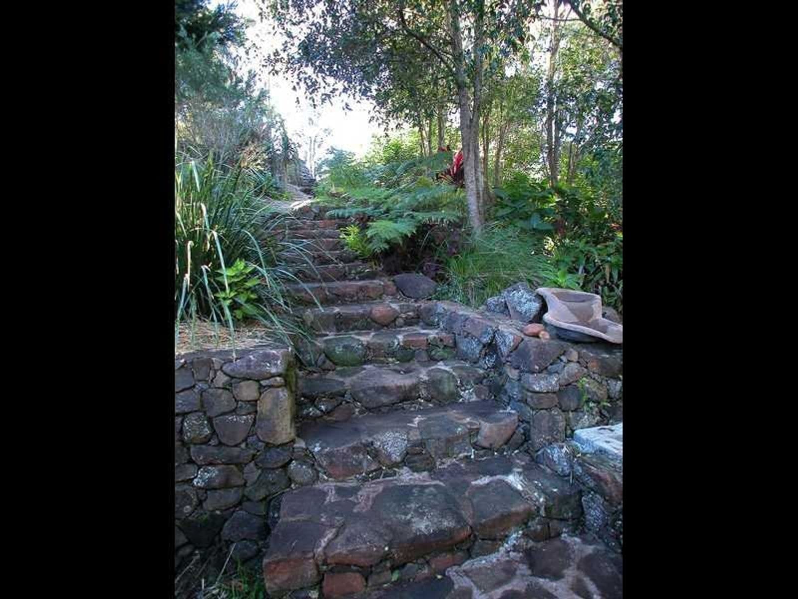 1205 Booyong Road, Clunes - Thumbnail 5