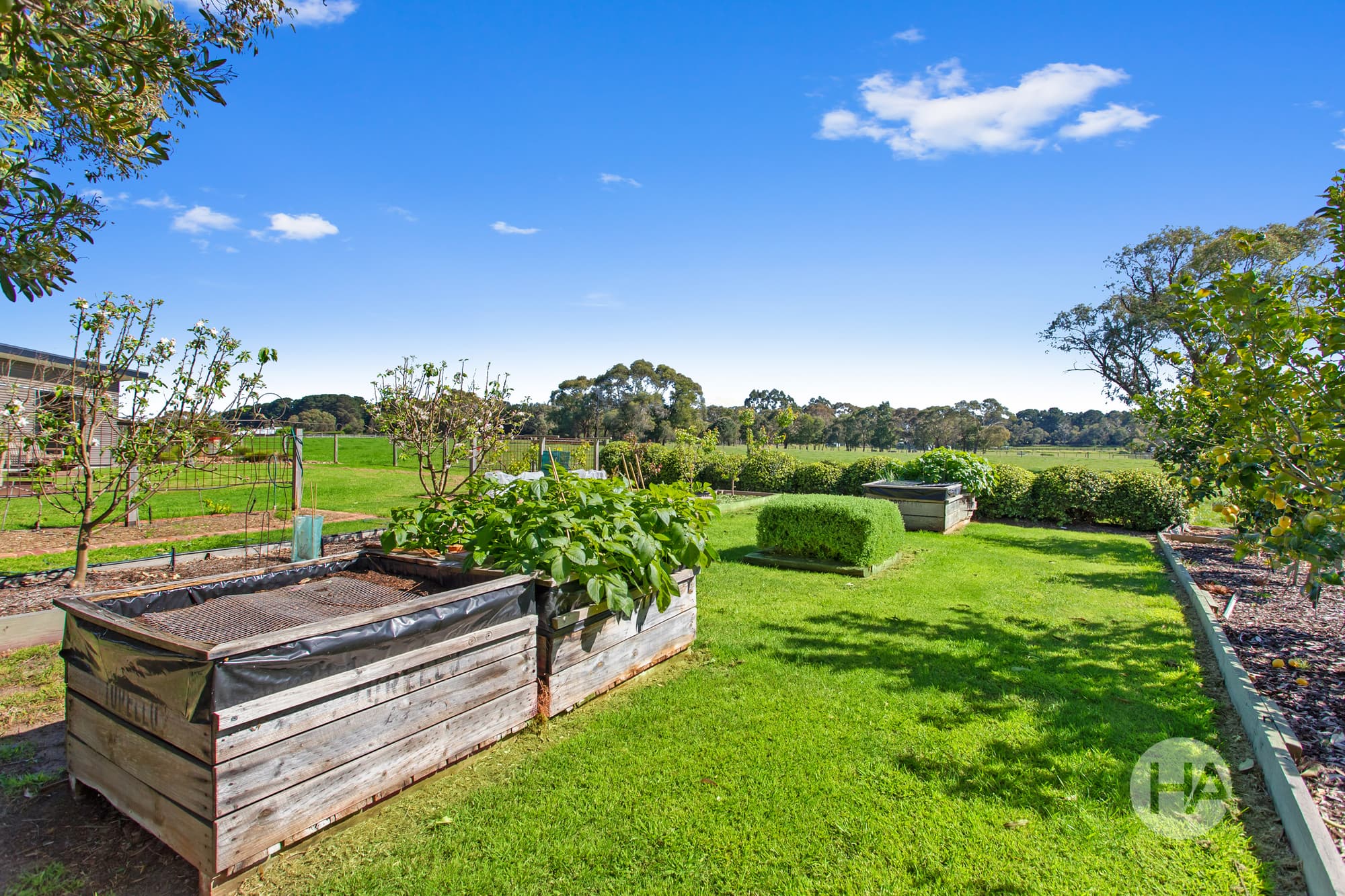 155 Stumpy Gully Road, BALNARRING, Balnarring - Thumbnail 7