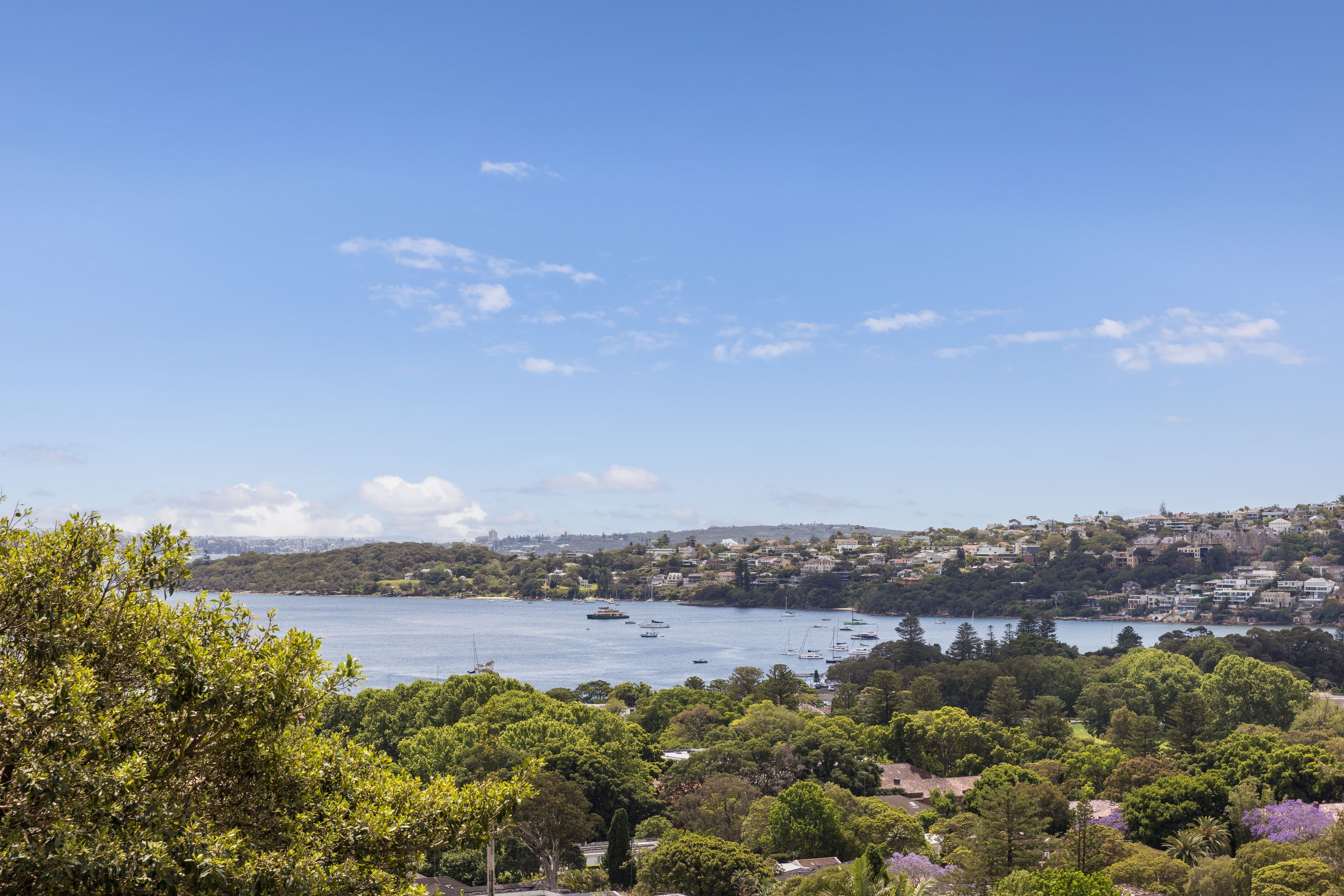 47a Drumalbyn Road, Bellevue Hill NSW 2023, Bellevue Hill - Thumbnail 3