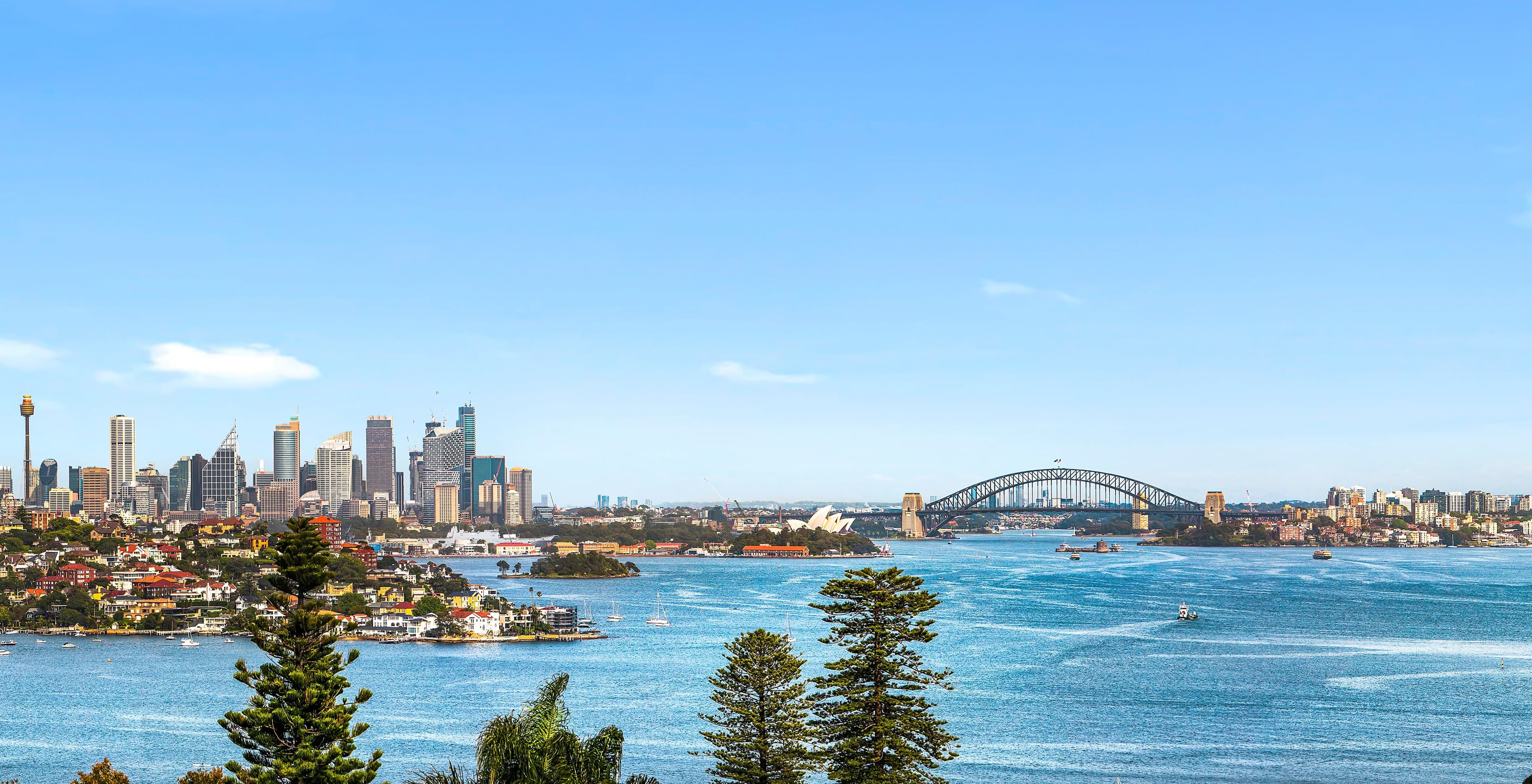 45 Chamberlain Avenue, Rose Bay NSW 2029, Vaucluse - Image 1