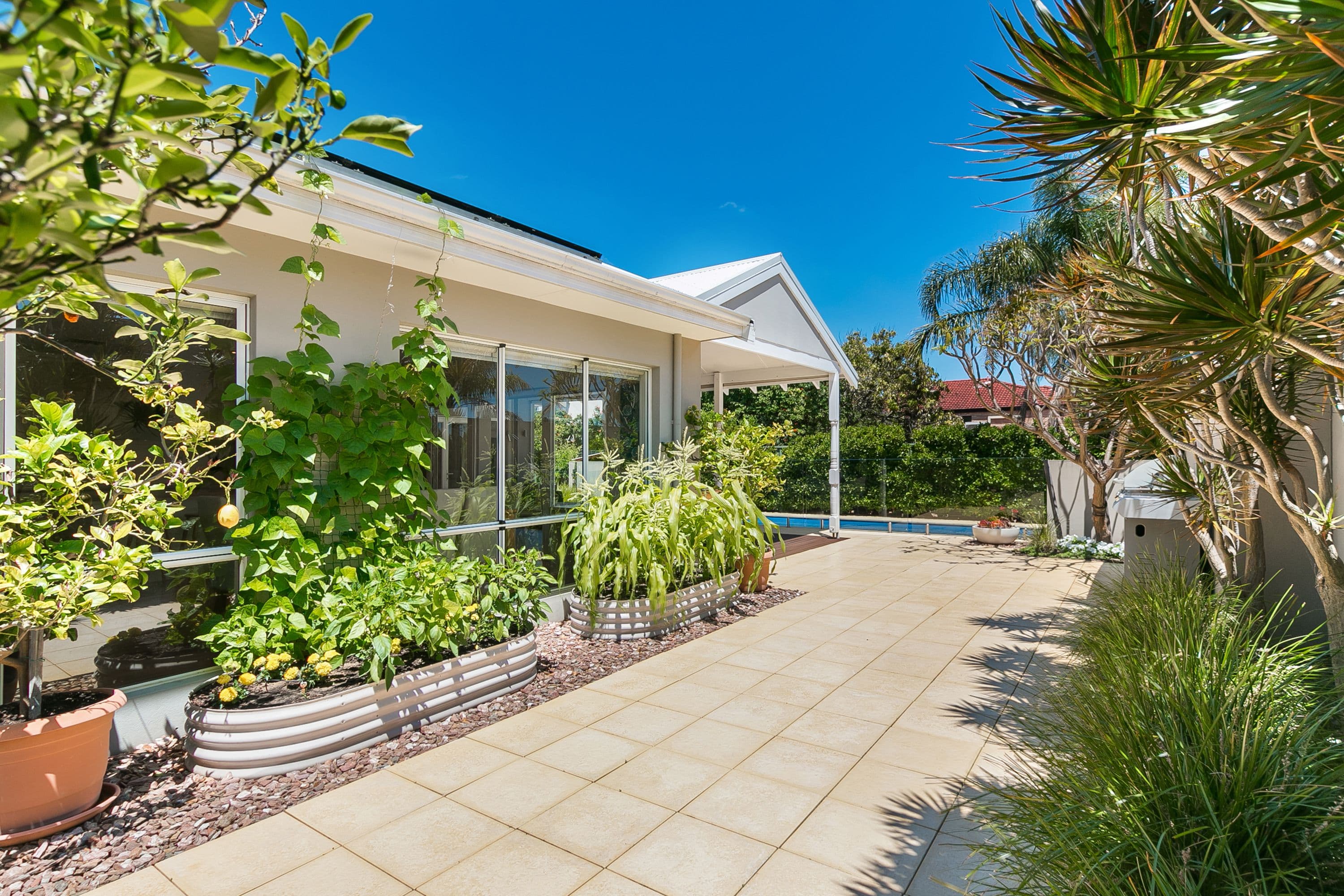 4 Blackman Road, Mount Pleasant WA 6153, Mount Pleasant - Thumbnail 6