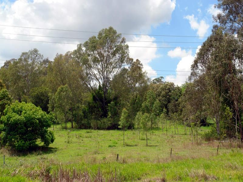 2938 Moggill Road, Pinjarra Hills - Thumbnail 4