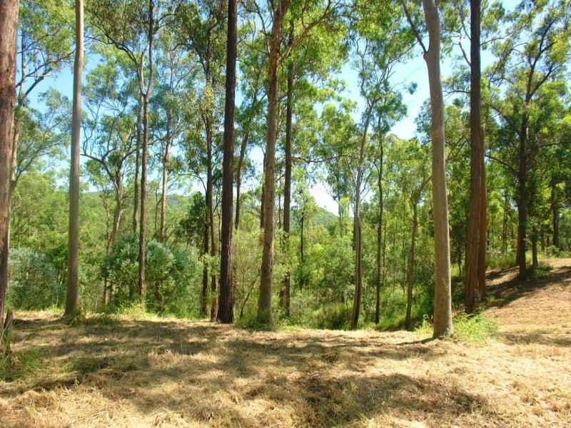 28 Red Ash Road, Sapphire Beach - Thumbnail 4