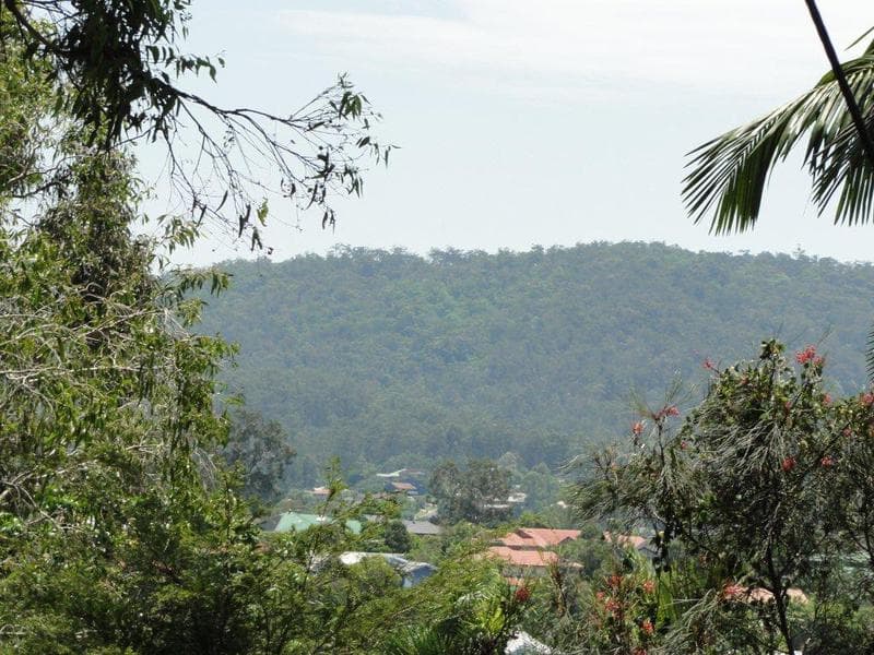 299 Bielby Road,  Chapel Hill, Kenmore Hills - Thumbnail 2
