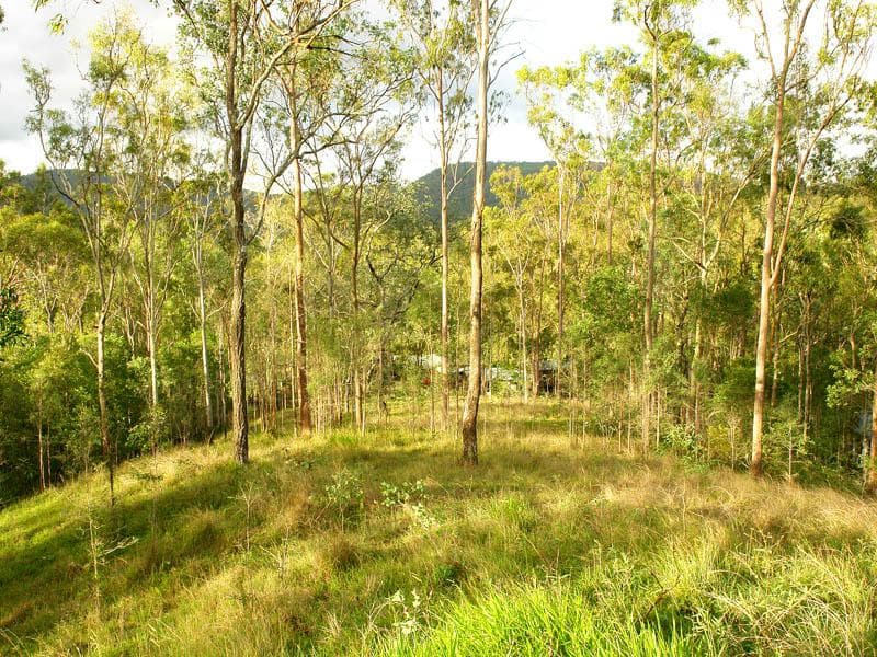 16 Sanson Place, Mount Crosby - Thumbnail 4