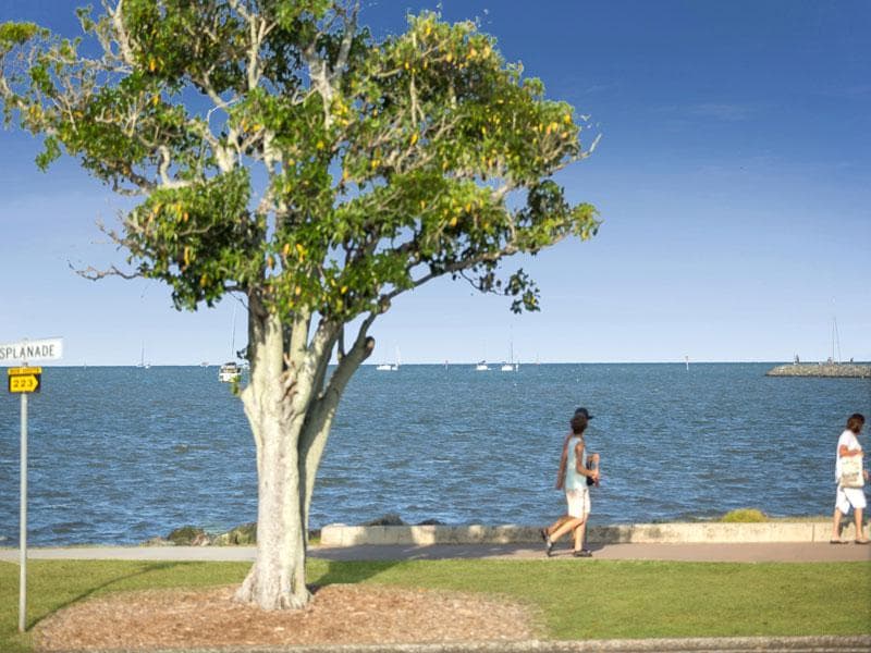 51 Carlton Terrace,  Wynnum, Wynnum - Thumbnail 3