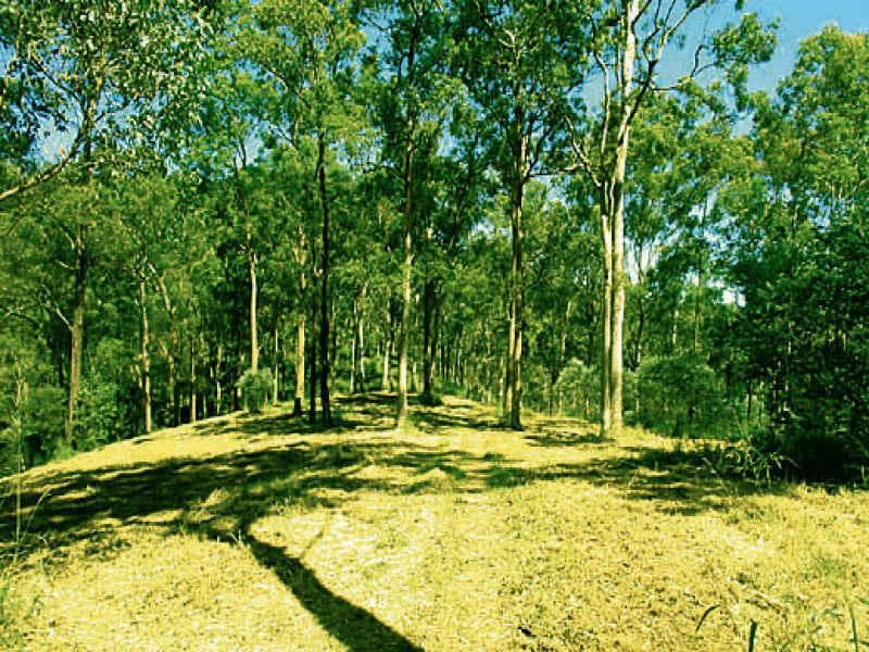 31/60 Darling Point Road, Darling Point, Pullenvale - Thumbnail 3