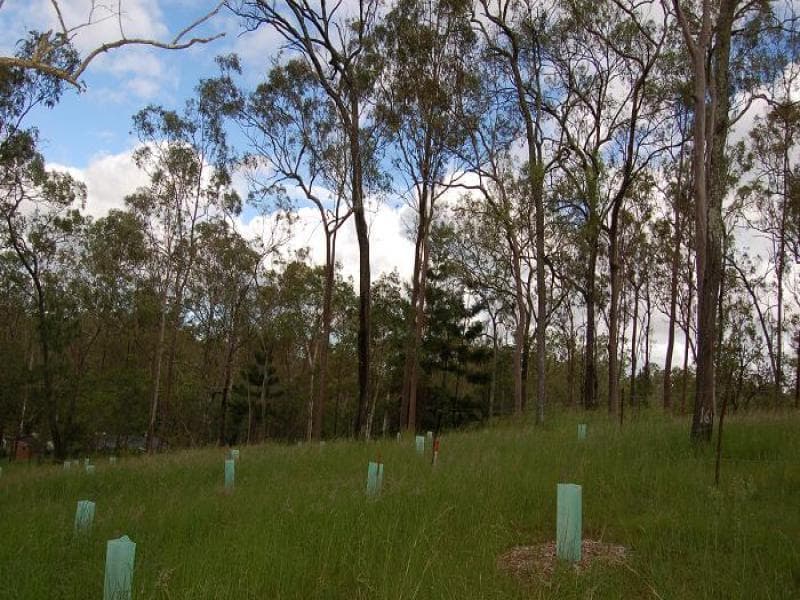 1/1 Hardie Street, Karana Downs - Thumbnail 4