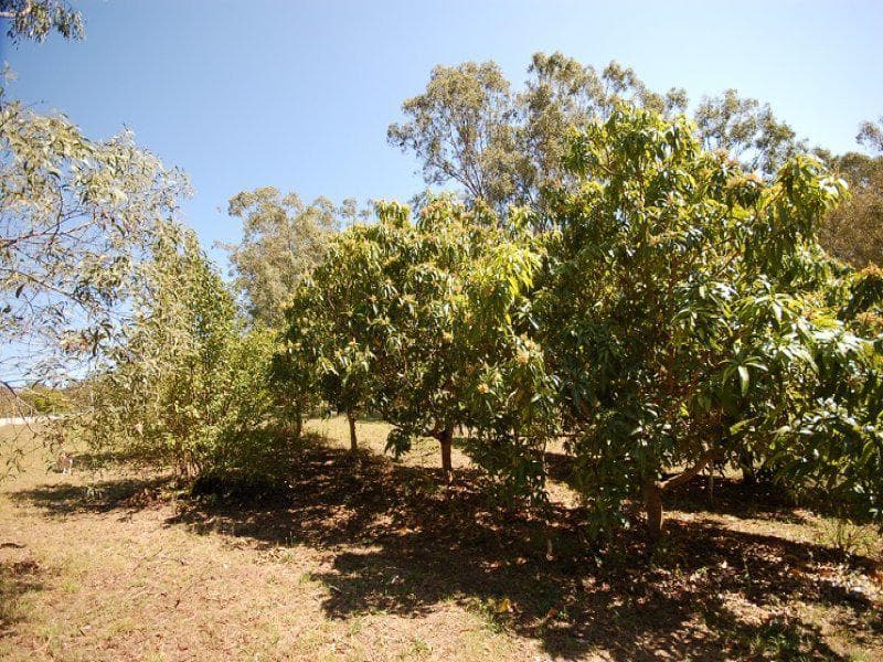 Lot 2, 51 Candowie Crescent, Karana Downs - Thumbnail 5