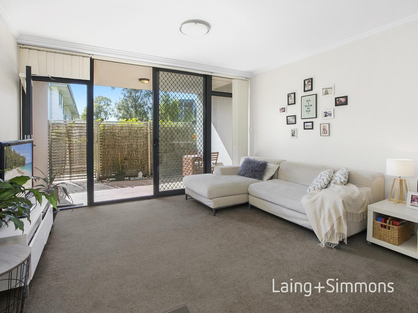 12/21-23 Shackel Avenue, Brookvale, Brookvale - Thumbnail 2