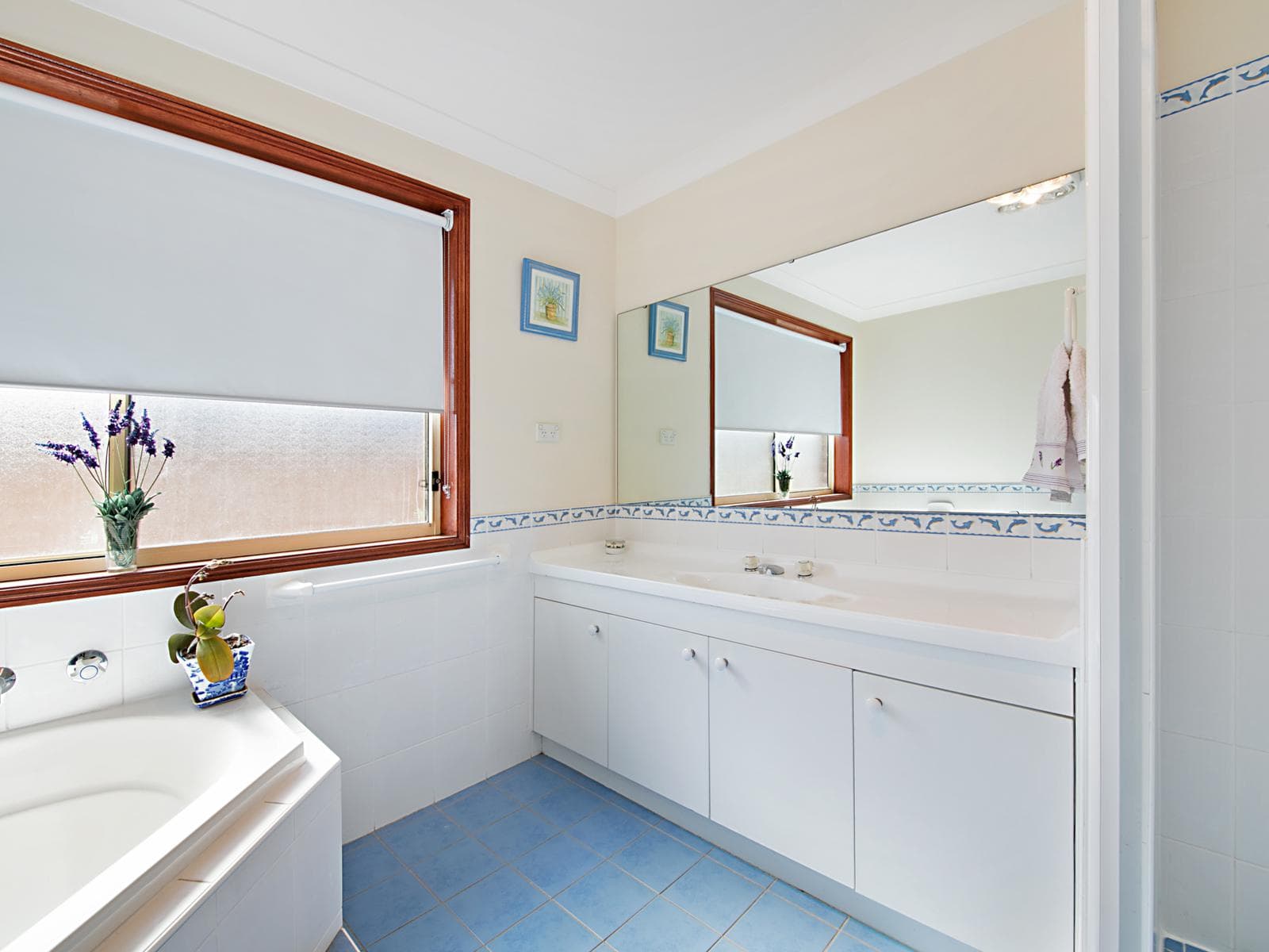29 Sapphire Circuit, Quakers Hill, Quakers Hill - Thumbnail 6