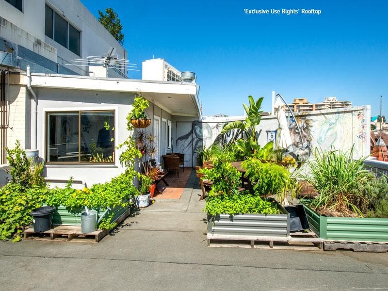 19/230 William Street, Potts Point, Potts Point - Thumbnail 8