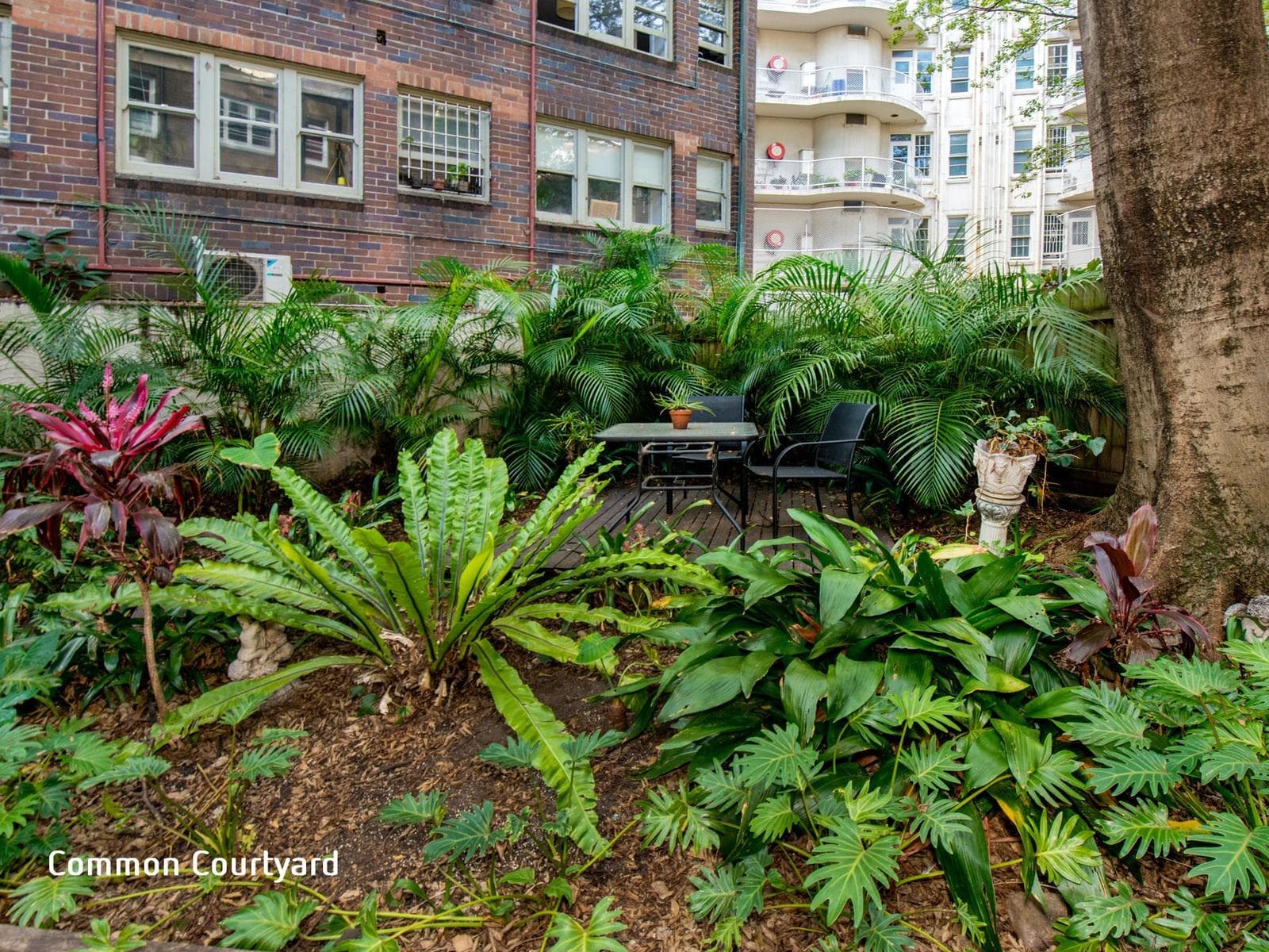 19/4 Mcdonald Street, Potts Point, Potts Point - Thumbnail 4