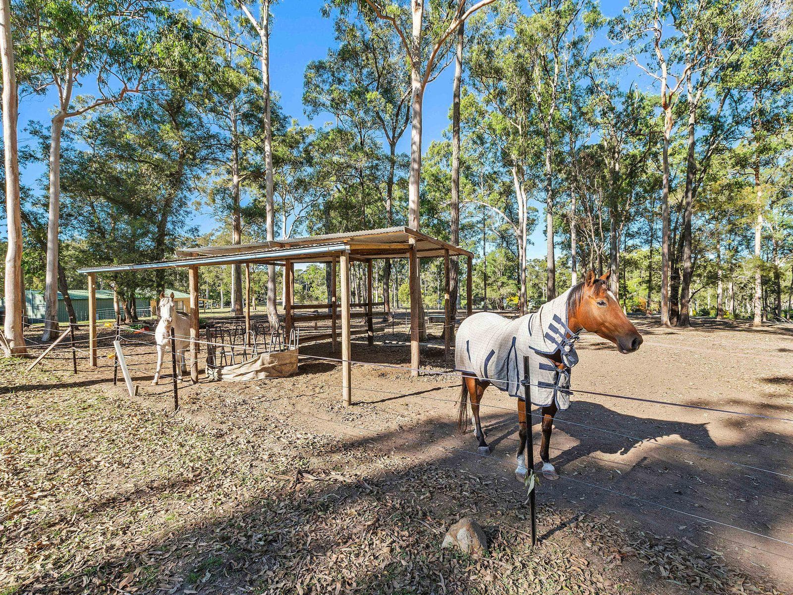 10/78-80																										Eton Street
														
								Smithfield, NSW 2164, Sancrox - Thumbnail 4