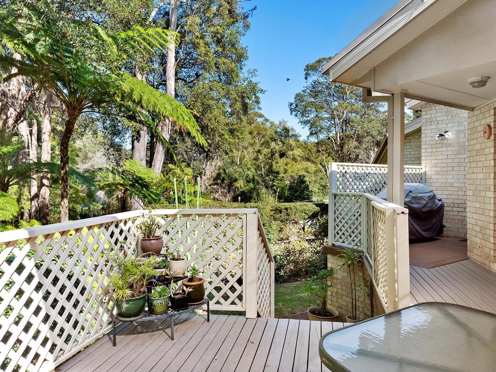 21b Maranta Street, Hornsby, Hornsby - Thumbnail 6