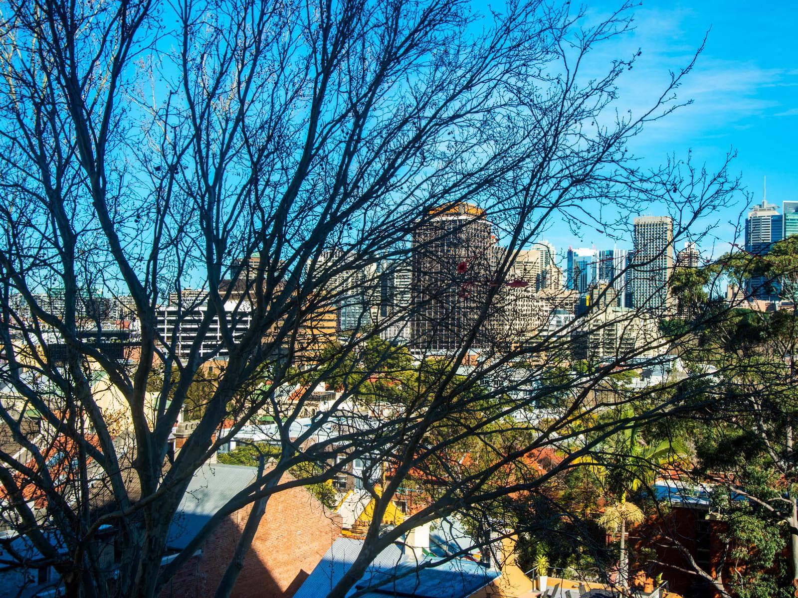 304/145 Victoria Street, Potts Point, Potts Point - Thumbnail 4