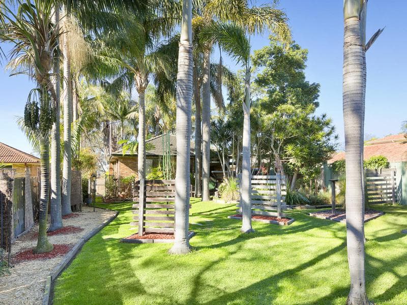 124 Alfred Street, Narraweena, Narraweena - Thumbnail 3