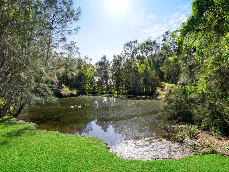 21 Newmarket Grove, Port Macquarie, Port Macquarie - Thumbnail 8