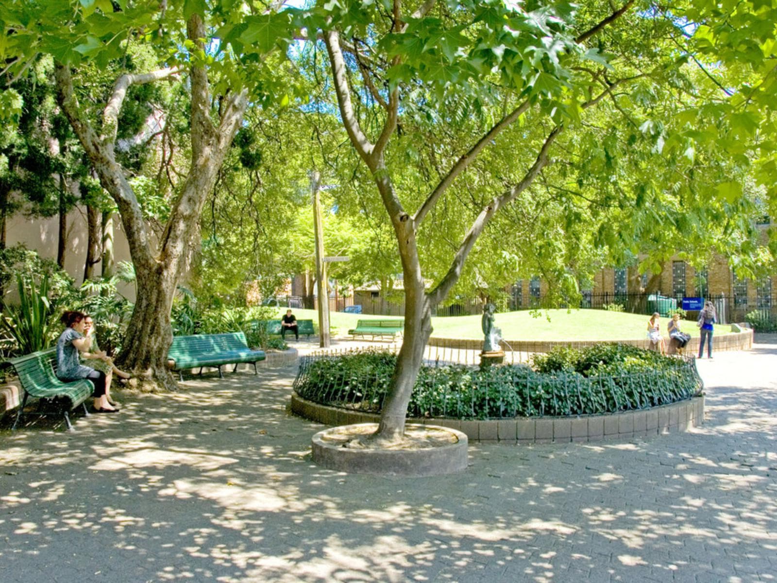 30 Campbell Avenue, Paddington, Paddington - Thumbnail 7