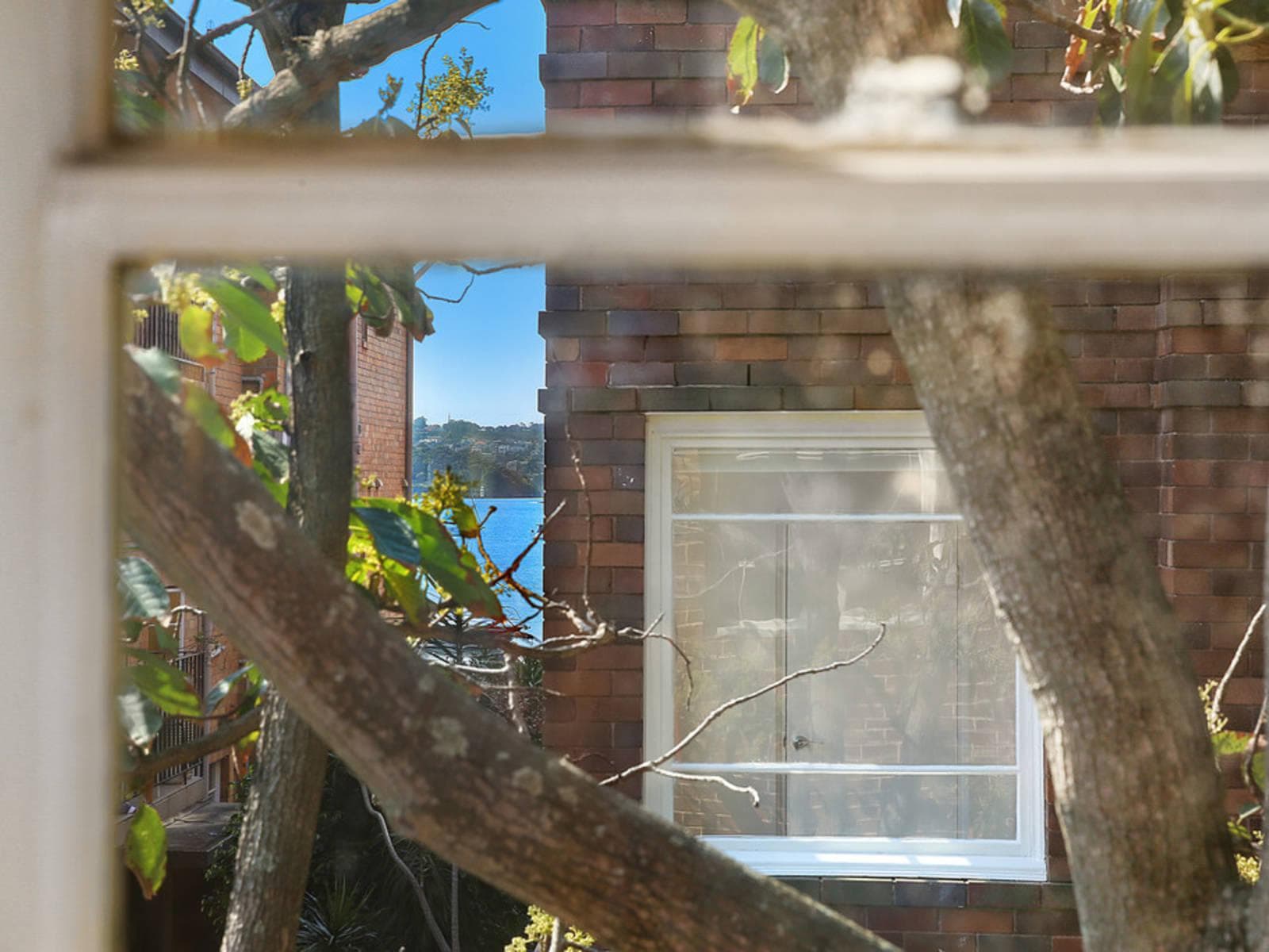 8/18 Stafford Street, Double Bay, Double Bay - Thumbnail 4