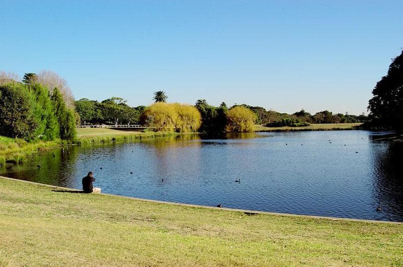 9/69 Moore Park Road, Centennial Park, Centennial Park - Thumbnail 5