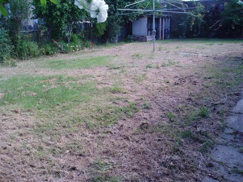 8/62																										Alice Street
														
								Harris Park, NSW 2150, Merrylands - Thumbnail 5