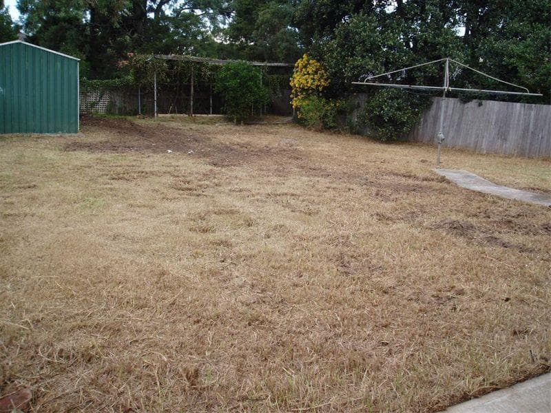4 Renfrew Street, Guildford, Guildford - Thumbnail 5