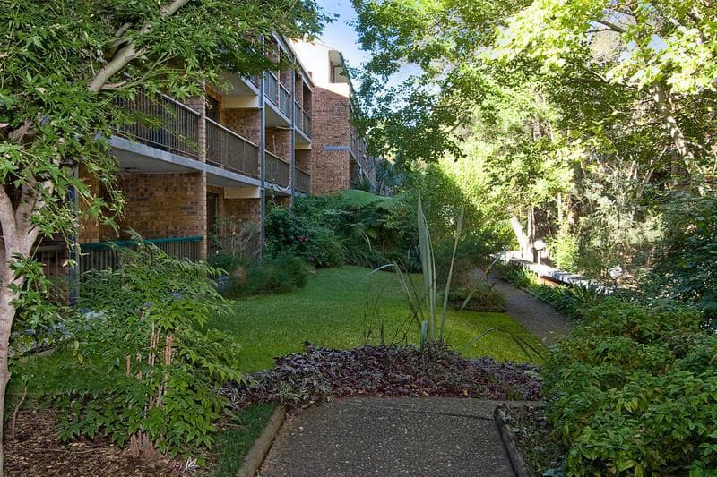 53/313 Harris Street, Pyrmont, Pyrmont - Thumbnail 6