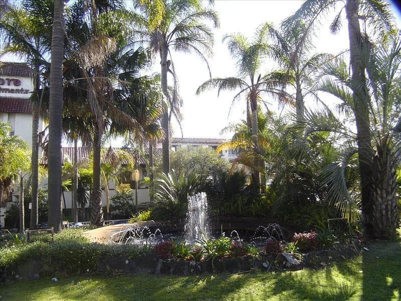 160/450 Pacific Highway, Artarmon, Artarmon - Thumbnail 4