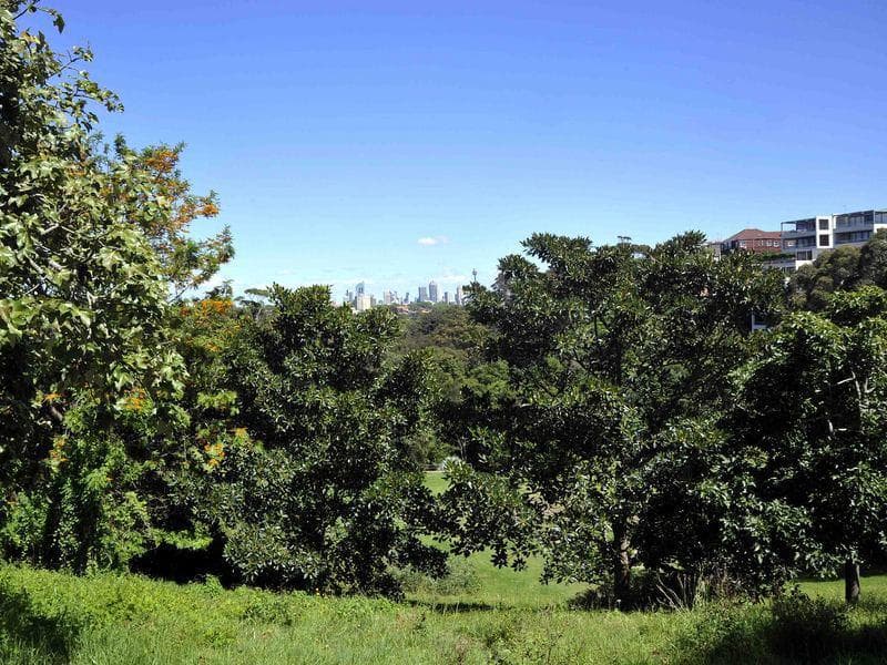 16/165 Victoria  Road, Bellevue Hill, Bellevue Hill - Thumbnail 7