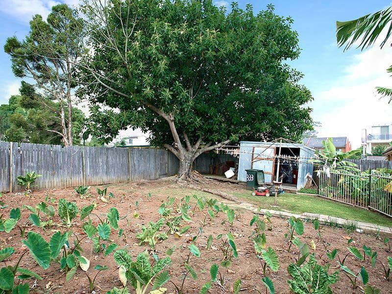 333 Woodville Road, Guildford, Guildford - Thumbnail 6
