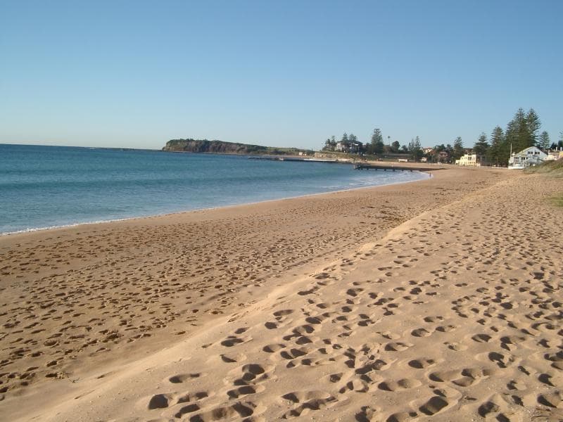 41/1161 Pittwater Road, Collaroy, Collaroy - Thumbnail 3