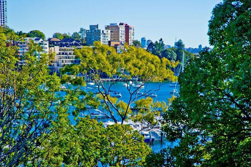 8/526 New South Head Road, Double Bay, Double Bay - Thumbnail 2