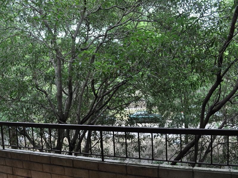 7/2 Barton Road, Artarmon, Artarmon - Thumbnail 6