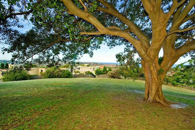 19/206 Victoria Road, Bellevue Hill, Bellevue Hill - Thumbnail 8
