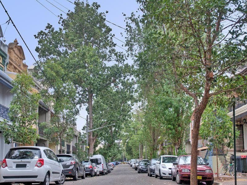 11-21 Rose St, Chippendale, Chippendale - Thumbnail 2