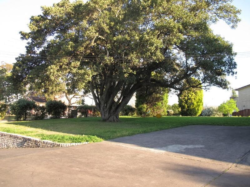 16/4																										McDonald Street
														
								Potts Point, NSW 2011, Mount Pritchard - Thumbnail 5