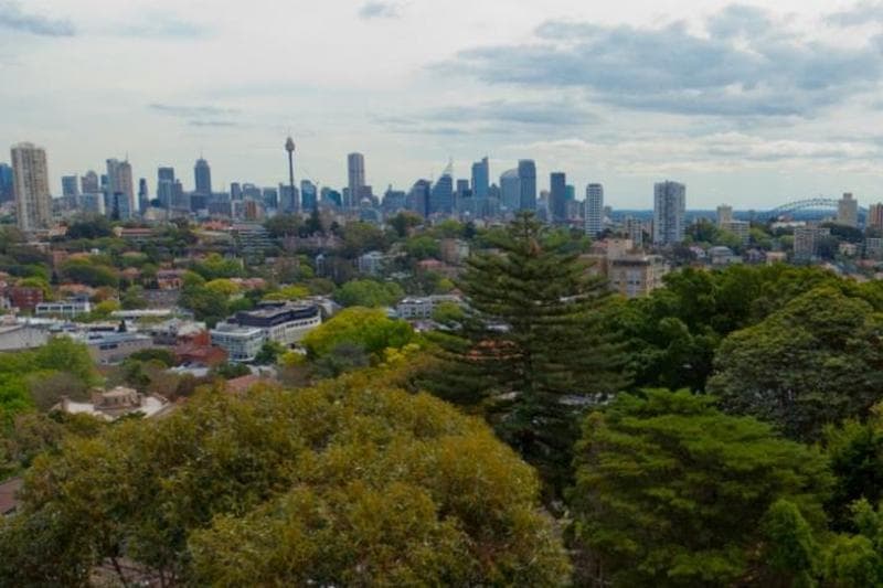 53																										Avoca Road
														
								Canley Heights, NSW 2166, Bellevue Hill - Thumbnail 3