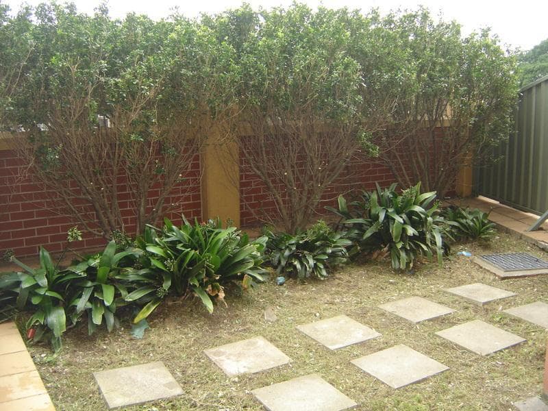 4																										Nockolds Avenue
														
								Punchbowl, NSW 2196, Kingsford - Thumbnail 5