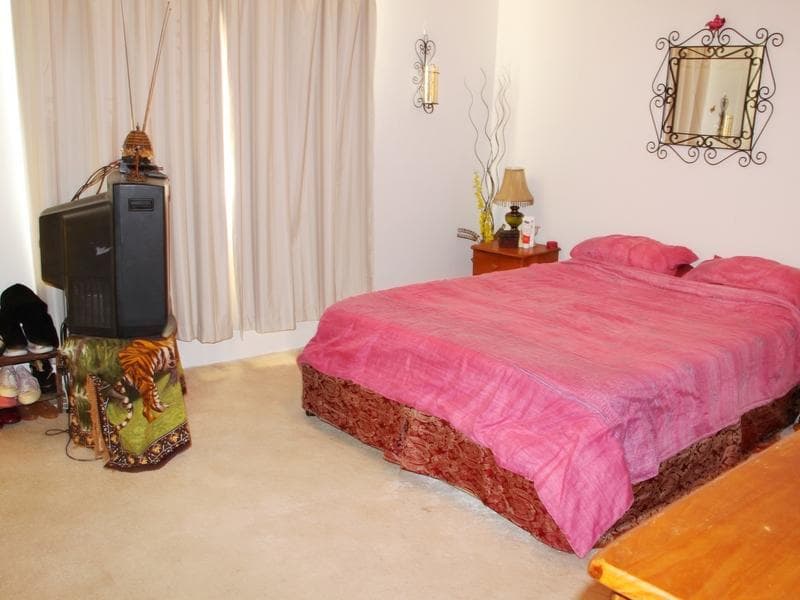 4																										Nockolds Avenue
														
								Punchbowl, NSW 2196, Lakemba - Thumbnail 6