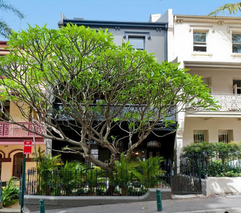 1/16																										Hamilton Street
														
								Rose Bay, NSW 2029, Rushcutters Bay - Image 1