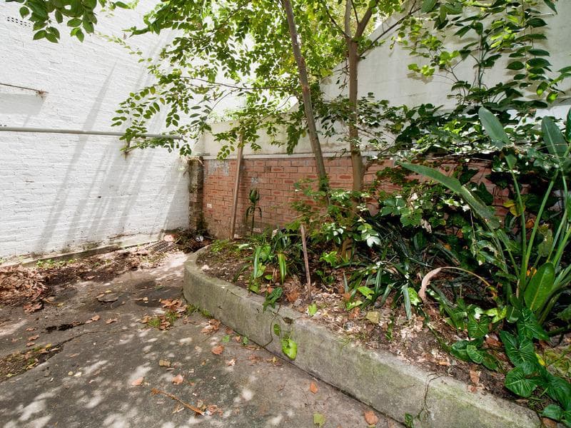 29 Waterloo Street, Surry Hills, Surry Hills - Thumbnail 4