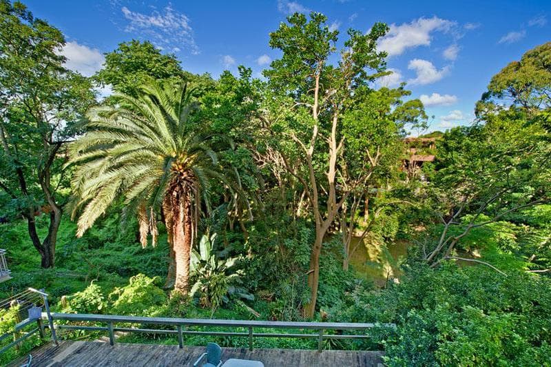 3/84 Drumalbyn Road, Bellevue Hill, Bellevue Hill - Thumbnail 8