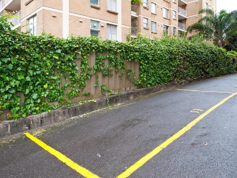 3/6																										Crisallen Street
														
								Port Macquarie, NSW 2444, Centennial Park - Thumbnail 4
