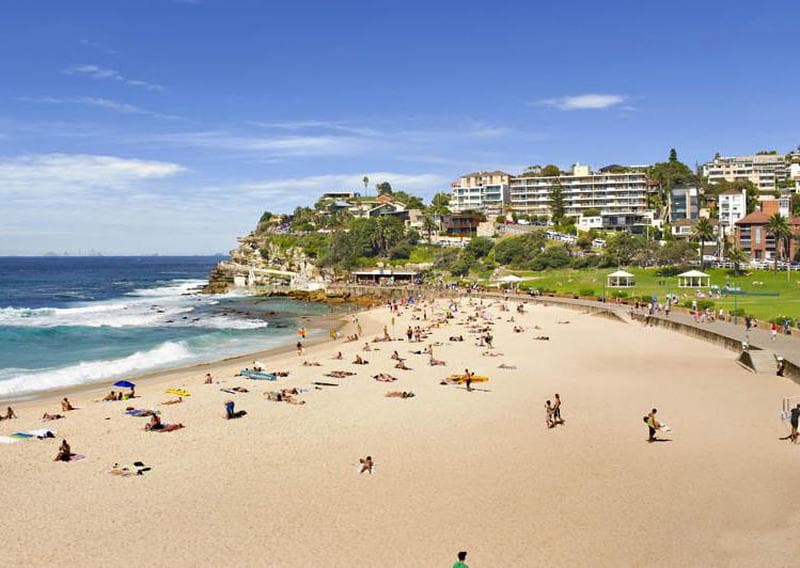 1/5 Lugar Street, Bronte, Bronte - Thumbnail 6