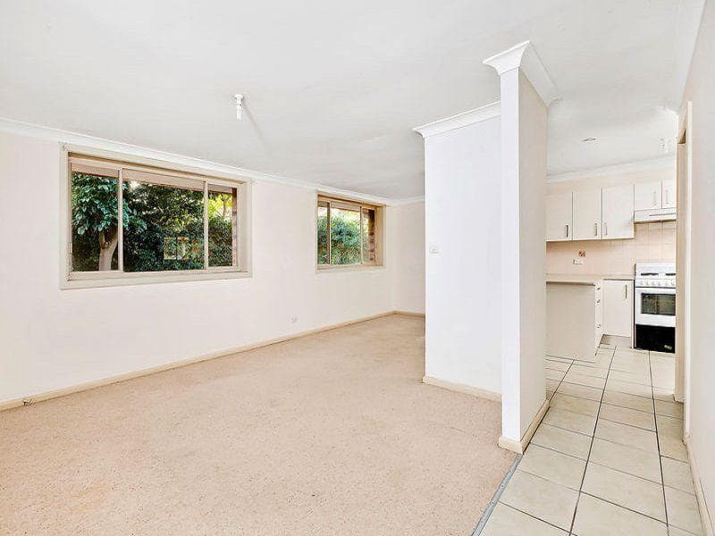 6 Elizabeth Place, Brookvale, Brookvale - Thumbnail 6