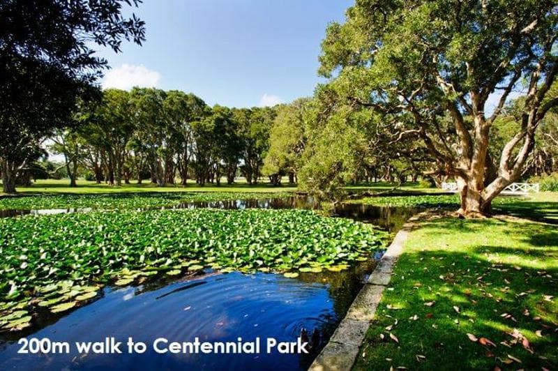 12/30-38 Cook Road, Centennial Park, Centennial Park - Thumbnail 7