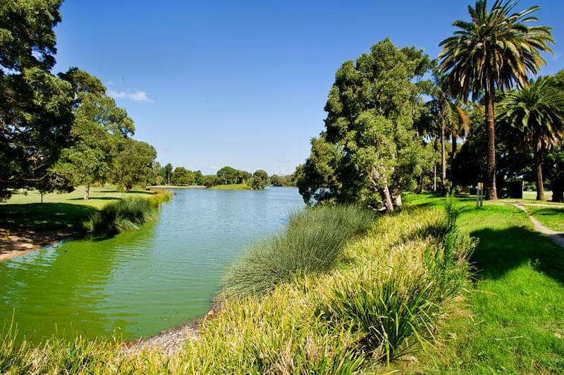12/30-38 Cook Road, Centennial Park, Centennial Park - Thumbnail 8