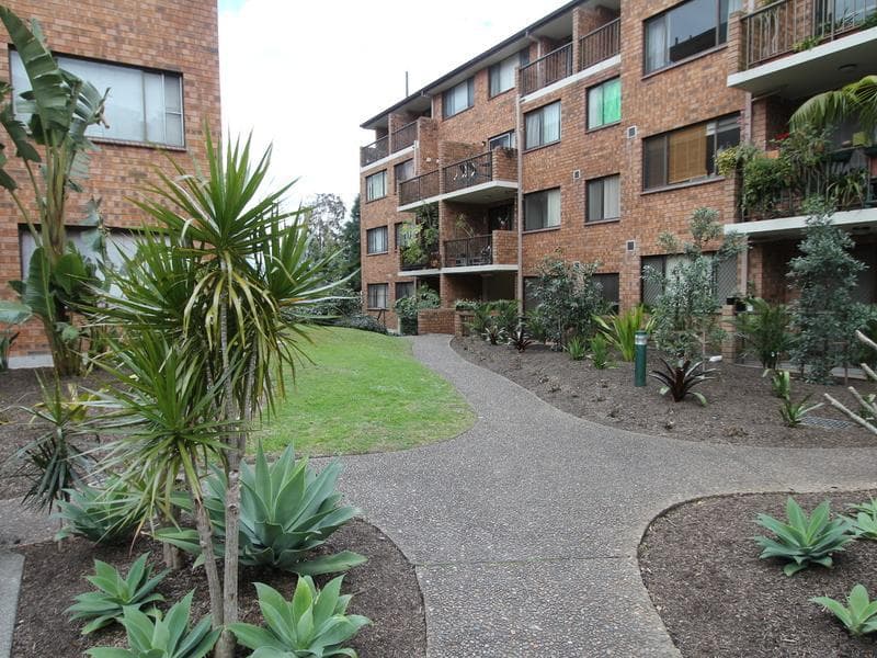155/392 Jones Street, Ultimo, Ultimo - Thumbnail 2